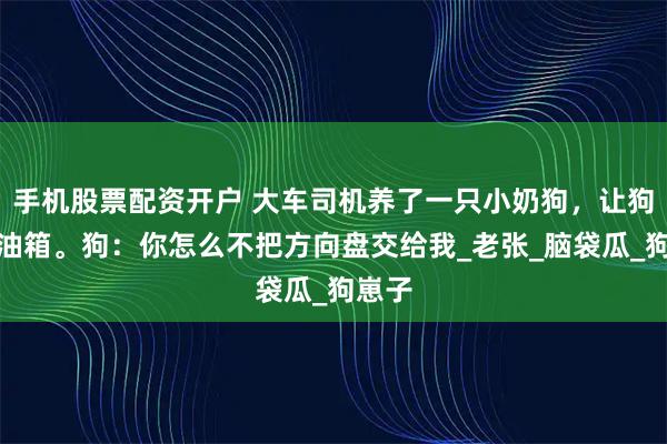 手机股票配资开户 大车司机养了一只小奶狗,让狗子看油箱。狗:你怎么不把方向盘交给我_老张_脑袋瓜_狗崽子