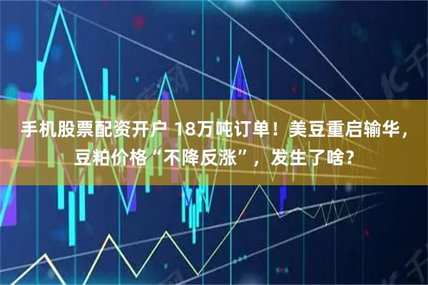 手机股票配资开户 18万吨订单!美豆重启输华,豆粕价格“不降反涨”,发生了啥?